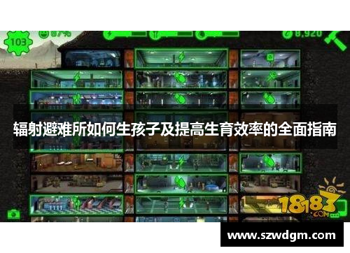 辐射避难所如何生孩子及提高生育效率的全面指南