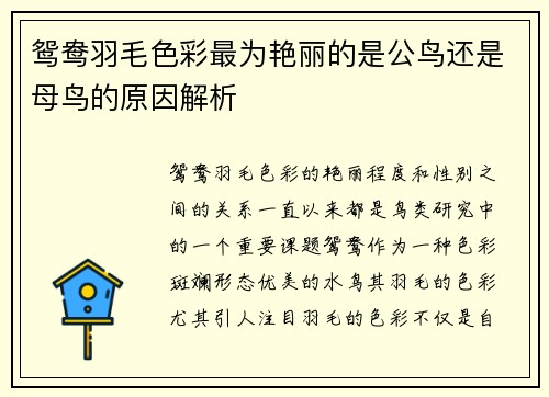 鸳鸯羽毛色彩最为艳丽的是公鸟还是母鸟的原因解析 鸳鸯羽毛色彩最为艳丽的是公鸟还是母鸟的原因解析